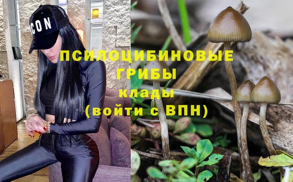 героин Ладушкин