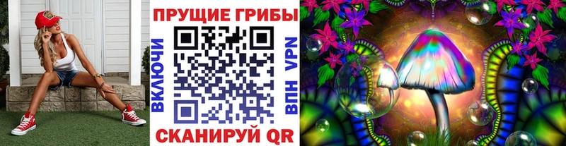 Галлюциногенные грибы прущие грибы продажа наркотиков omg tor Новоалександровск